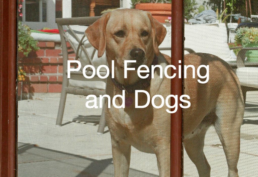 pool fence for dogs