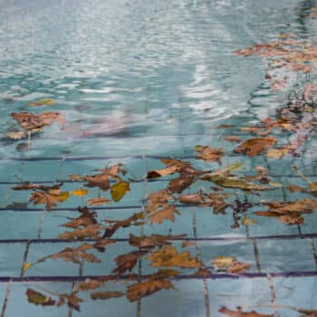 The Importance of Keeping Leaves Out of Your Pool