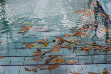 Read more about the article The Importance of Keeping Leaves Out of Your Pool