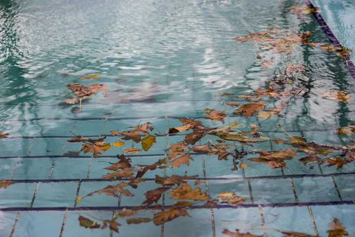 You are currently viewing The Importance of Keeping Leaves Out of Your Pool